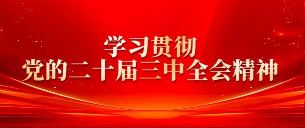 學(xué)習(xí)貫徹黨的二十屆三中全會(huì)精神② 產(chǎn)發(fā)園區(qū)集團(tuán)董事長(zhǎng)劉孝萌：抓好“建、招、儲(chǔ)、運(yùn)”,建設(shè)高質(zhì)量產(chǎn)業(yè)園區(qū)